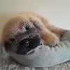 Bullmastiff Puppy, dotpebblesknits Design