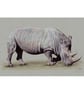 Browsing Rhino - Original Coloured Pencil Drawing - Image 3