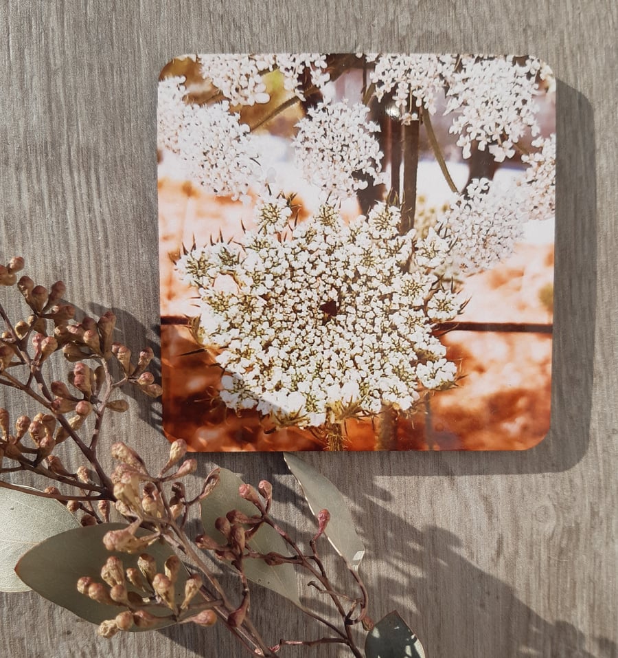 Coaster set - 2 mdf coasters - tableware - Queen Anne's Lace floral print.