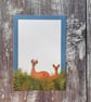 British Mammals Gift Notes - Image 5