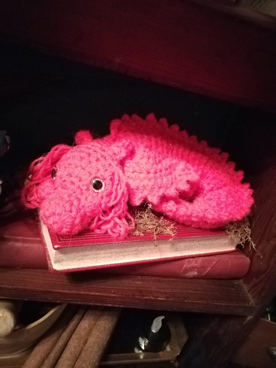 Crochet Magical Dragon Book Display 