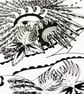 Folk Bird - Image 4