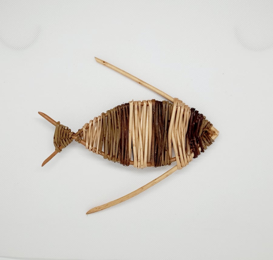 Willow fish
