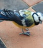 Woollen detailed Blue Tit - Reserved for Kate  - Image 2