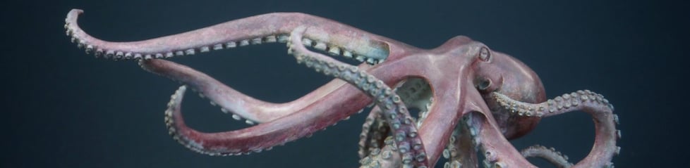 MIchelle Hall Fine Art