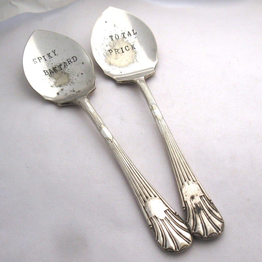 Rude Cactus Labels For Succulent Plantpots, Upcycled Spoons