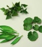Miniature Spring foragers Basket, 1:12 scale - Image 7