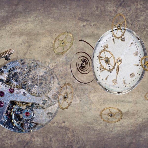 Sproing goes the watch print
