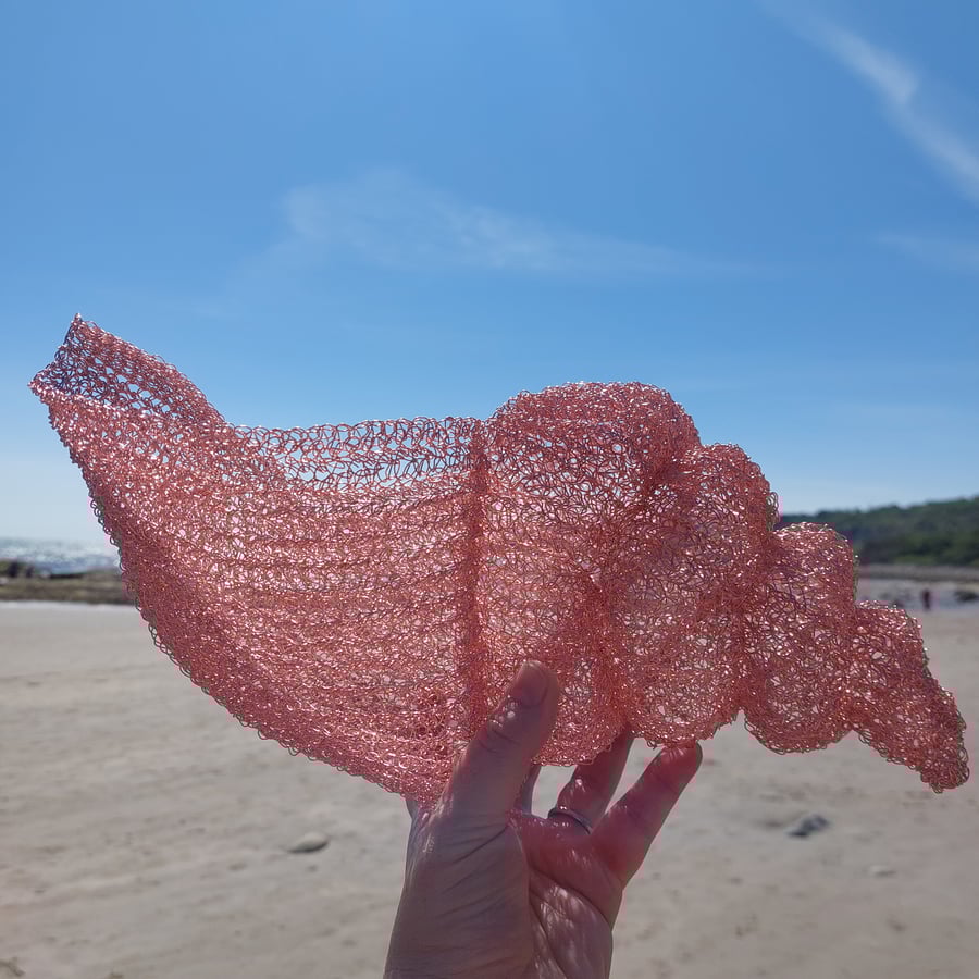 Rose Gold Spiral Shell