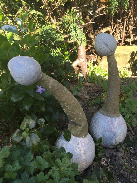 Bespoke Pottery,garden ornament, scultures,home decor, handmade, uk