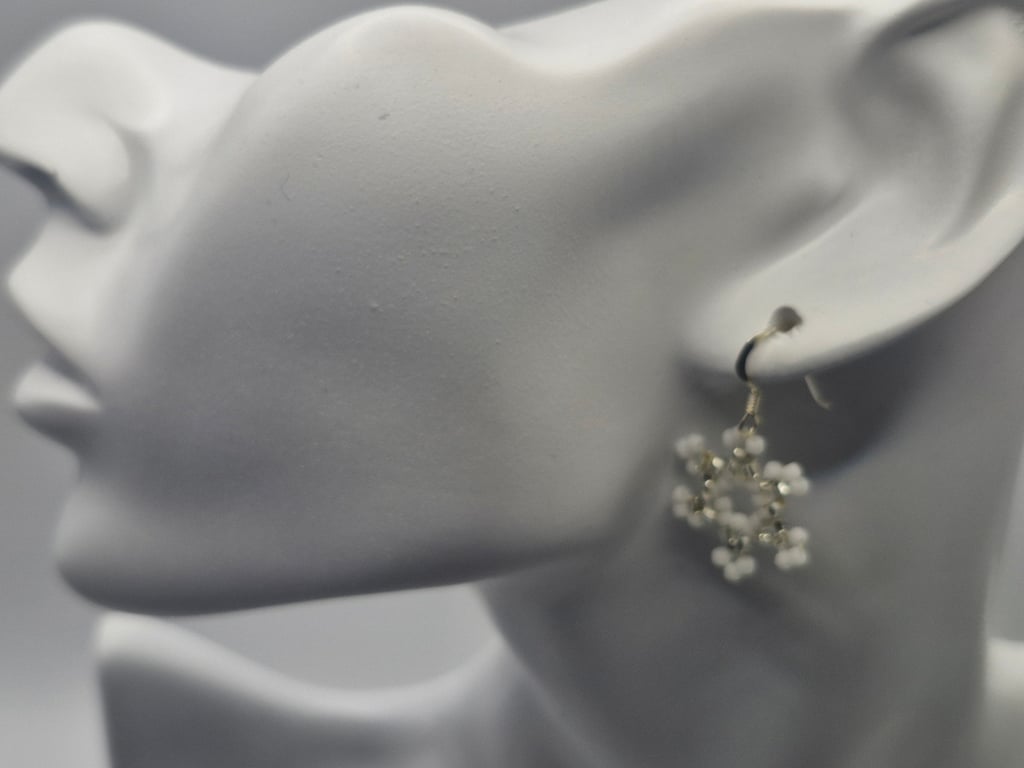 Snowfall Serenity Earrings