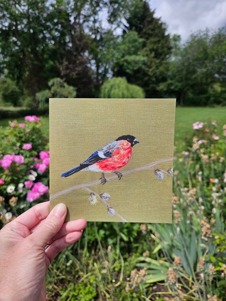 Garden bird card, Bullfinch card, blank cards, bird lover, bird watching