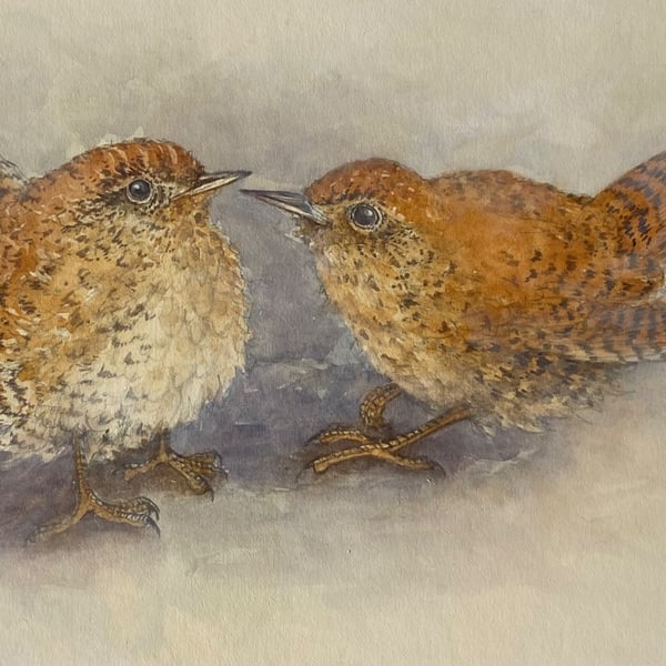 Wrens . Original watercolour by Christopher Hughes