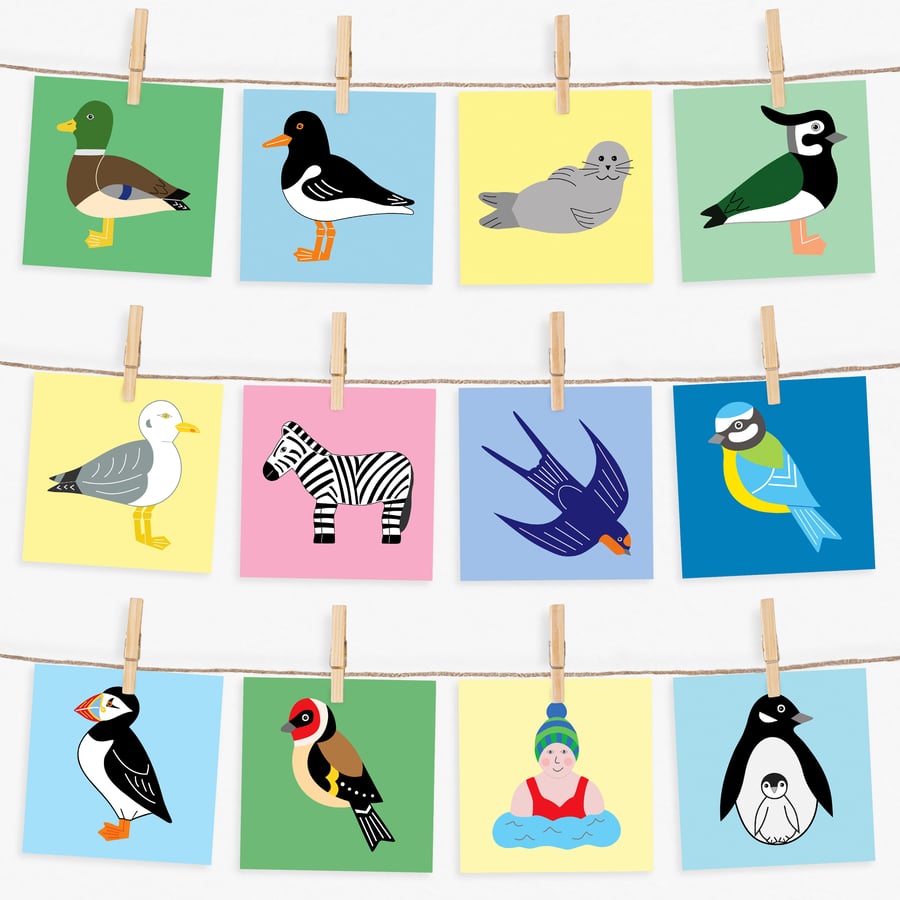 Set of 4 Cards, Bird Animal Cards, Wild Swimmer Card, Any 4 Cards, Mix or Match