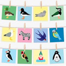 Set of 4 Cards, Bird Animal Cards, Wild Swimmer Card, Any 4 Cards, Mix or Match