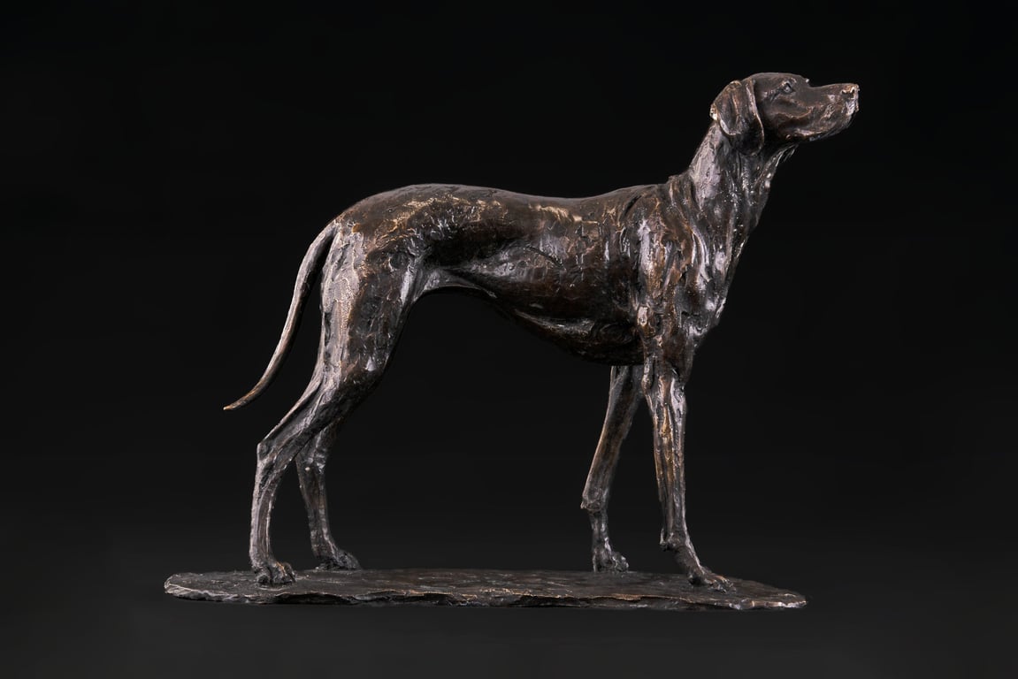Foundry Bronze Standing Vizsla Animal Statue Small Bronze Metal Sculpture