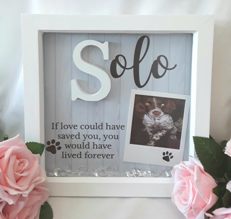 23cm Frame Sizes Personalised Pet Loss Frame, Pet Memorial Frame,Pet Loss