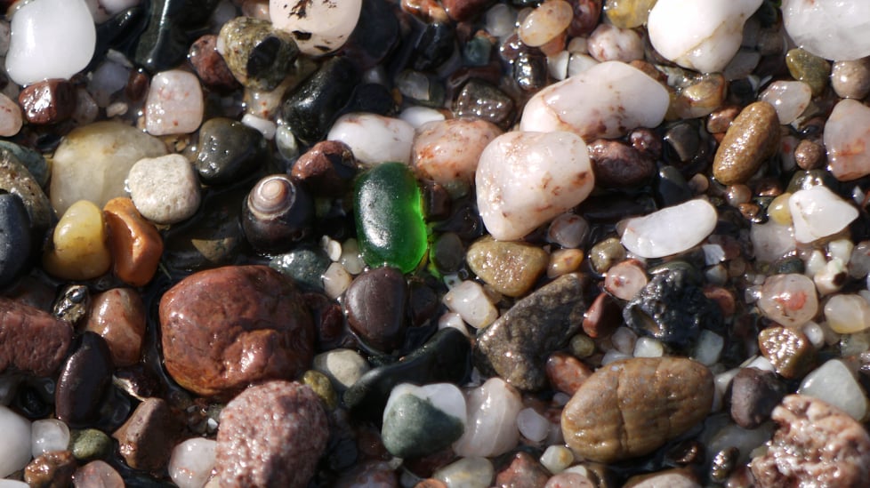 Shore & SeaMist