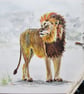 Lion original painting - Image 4
