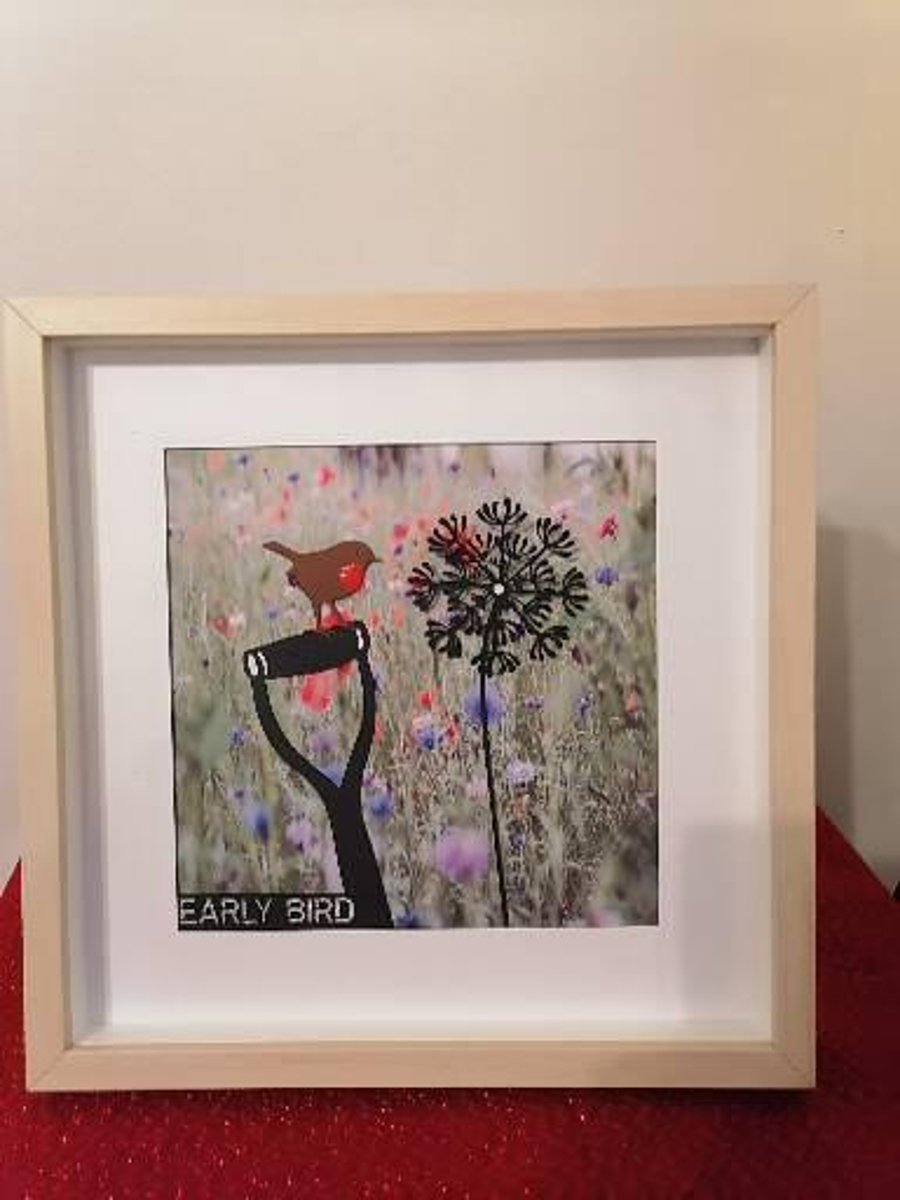 Early Bird Robin on spade, laser cut and  framed Ideal Birthday present 