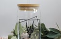 Glass cups