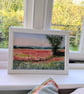 Poppy Field, framed original watercolour painting  - Image 2