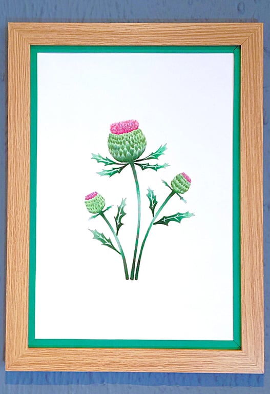 Genuine Made in UK Framed A3 Print Scottish Thistles Vibrant Dark Green Border