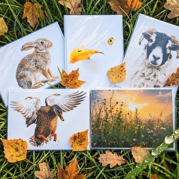 Just because wildlife series