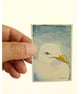 Original ACEO  Seagull Portrait Miniature Painting, Watercolour  - Image 4
