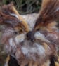  Eagle owl Needle felt owl, collectable animal sculpture ornament or decoration - Image 2