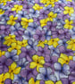 Pansies galore! - Image 2