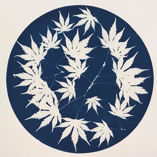 Indigo, an Original Cyanotype Photogram