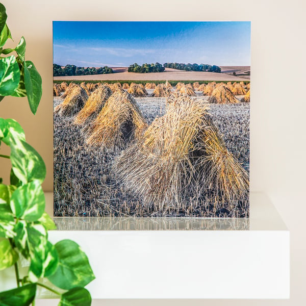 Hay Straw Bales Stooks Blank Greetings Card harvest late summer countryside 
