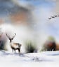 In search of Rudolf, Original Watercolour Painting.
