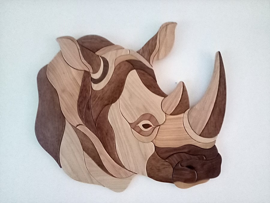 Extra large rhinoceros 