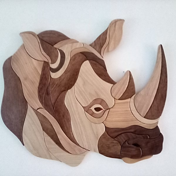 Extra large rhinoceros 