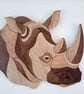 Extra large rhinoceros 