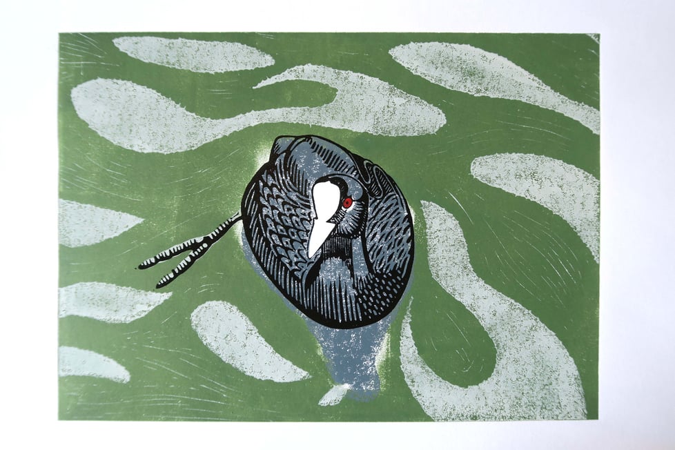 Hugo and his friends