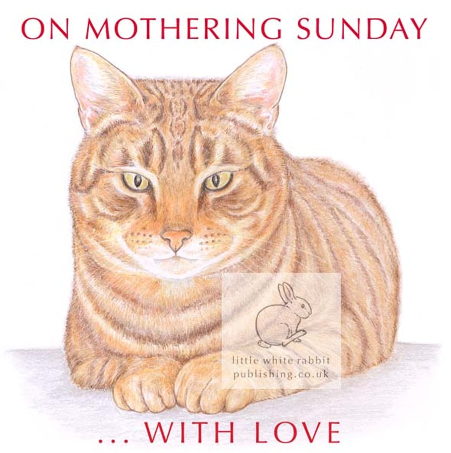 Monty the Cat - Mother's Day Card