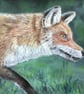 Superb quality giclee print of 'On the Hunt' a fox painting by artist Janet Bird - Image 1