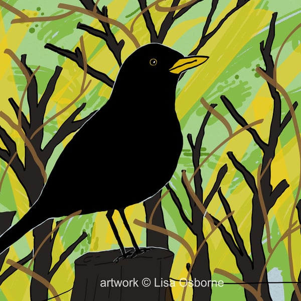 Blackbird - bird art print - garden birds