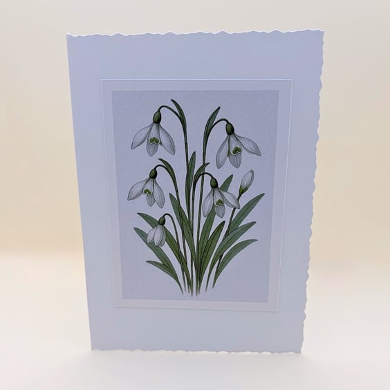 Snowdrop Birth Flower A6 Card Set of 4 - Botanical Blank Greeting Card