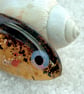 Fused Glass Goldfish - Image 3