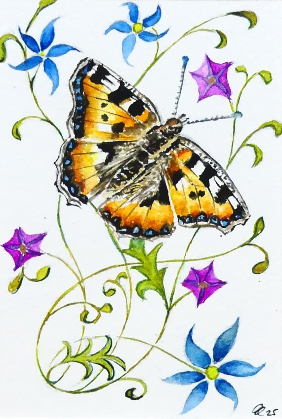 Framed Toiseshell Butterfly Original Watercolour Painting