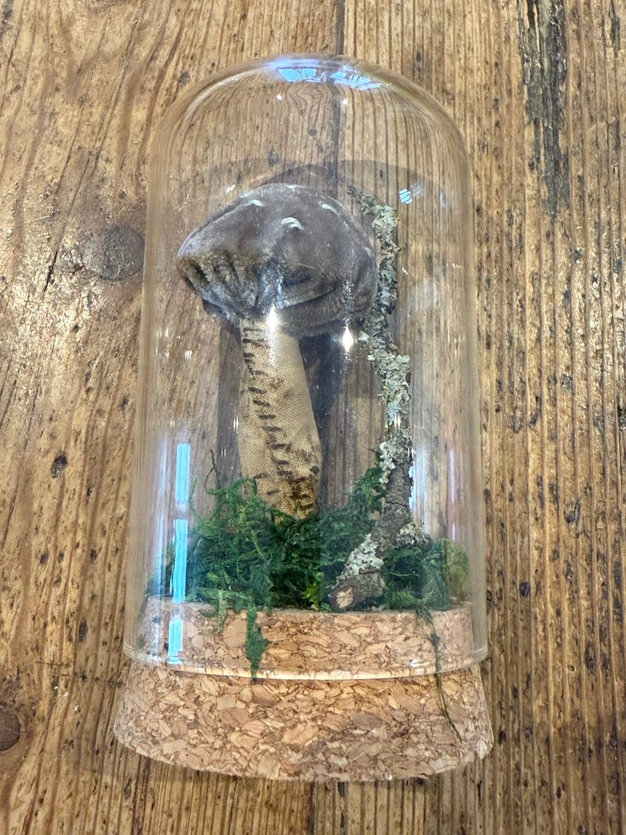 Glass Bell Jar Handmade Silk Velvet Toadstool Mushroom Ornament