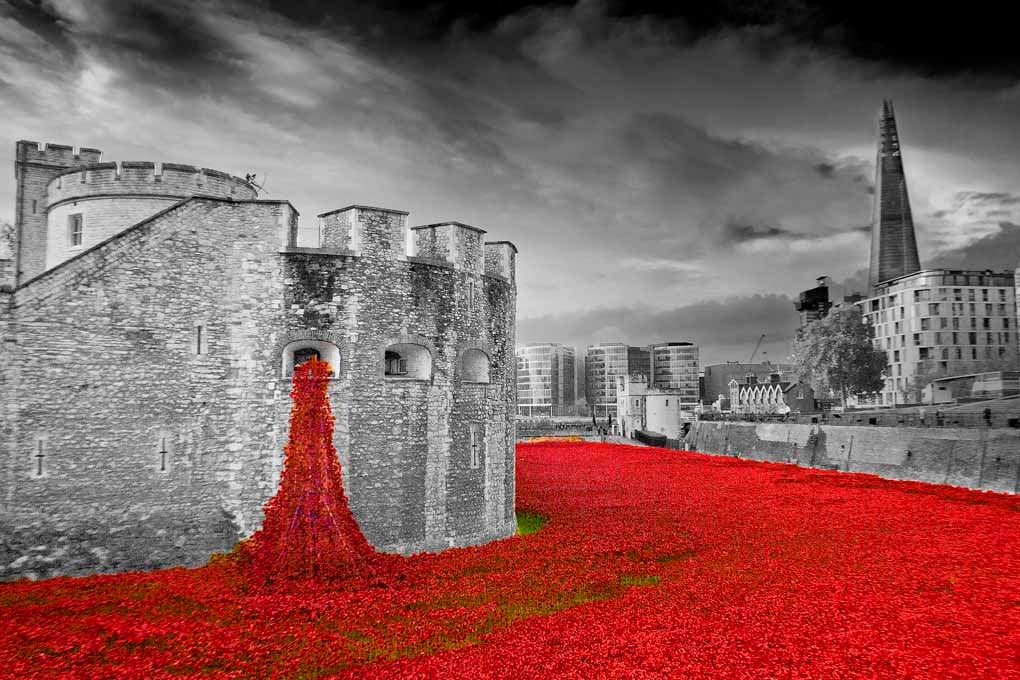 Tower Of London Red Poppies Poppy UK Photograph Print