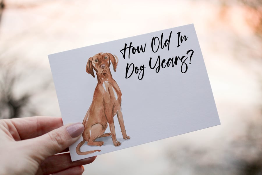 Hungarian Vizsla Dog Birthday Card, Dog Birthday Card, Personalized Dog Breed