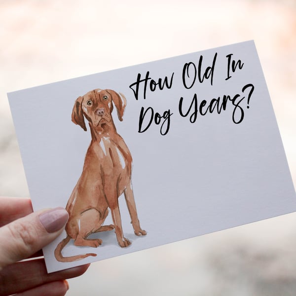 Hungarian Vizsla Dog Birthday Card, Dog Birthday Card, Personalized Dog Breed