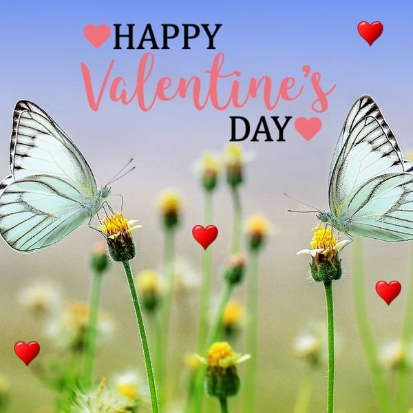 A5 Valentines Card Butterflies