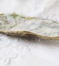 OYSTER SHELL TRINKET DISH ATLAS TRAVEL   - Image 5
